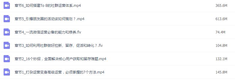 《从打杂运营升级高级运营》共六课(无水印)(图1) 1608706203762111.jpg