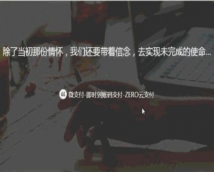 微支付 即时到账源码