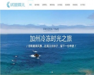 响应式试管婴儿医疗机构网站源码 织梦模板 (自适应手机移动端)