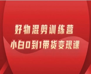好物推广投流训练营：零食混剪赛道投流玩法，全系统课程!