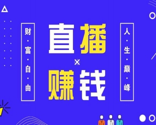 直播赚钱暴利攻略：手把手教你靠1部手机，玩赚直播，每月多赚5数